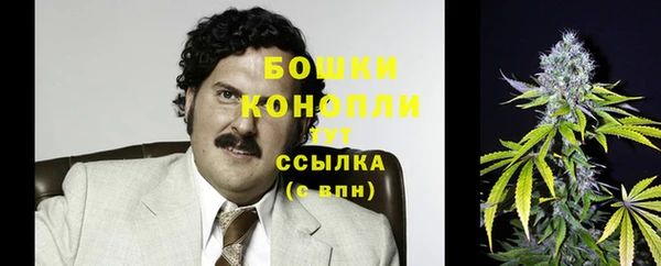прущие крисы Армянск