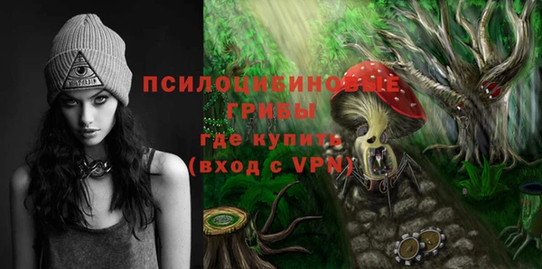 винт Арсеньев