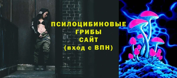 винт Арсеньев